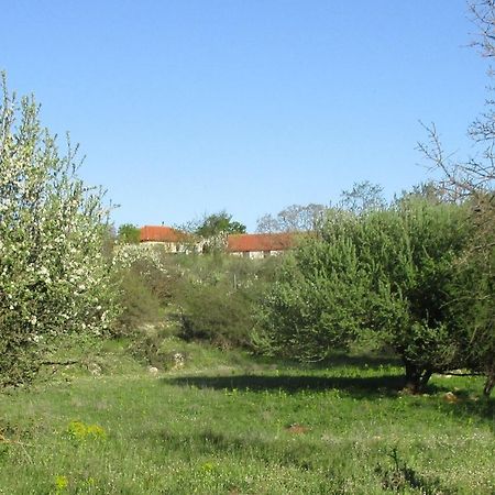 Arcadian Stone House In A Quiet Landscape, Leonidion Villa Poúlithra Екстериор снимка